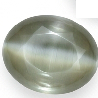 LEHSUNIA
